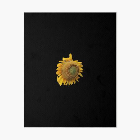 Field Guide to Sunflowers, No. 10, Chunky Flower Art Board Print