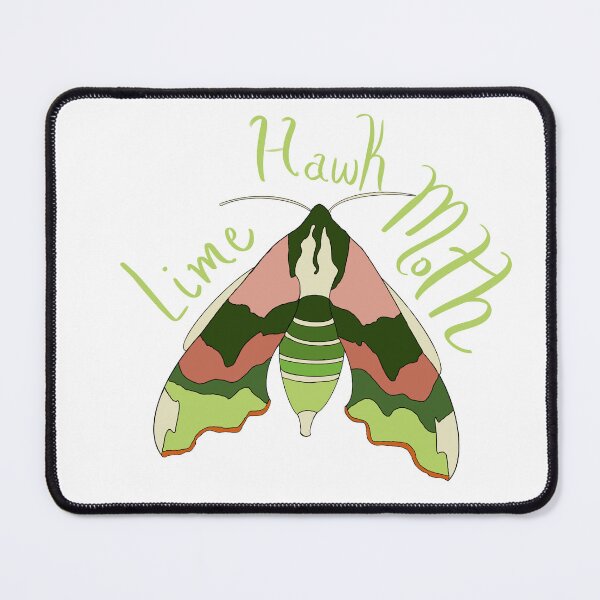Item preview, Lime Hawk Moth designed and sold by everlovingbooks.