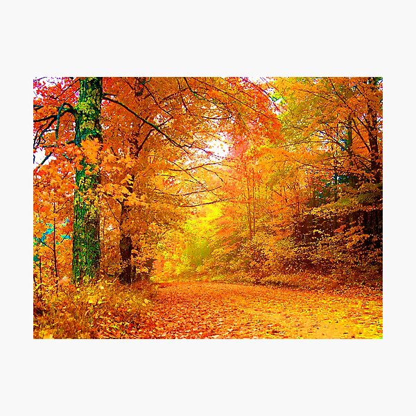 Item preview, Vermont Autumn designed and sold by Vicky Brago-Mitchell®.