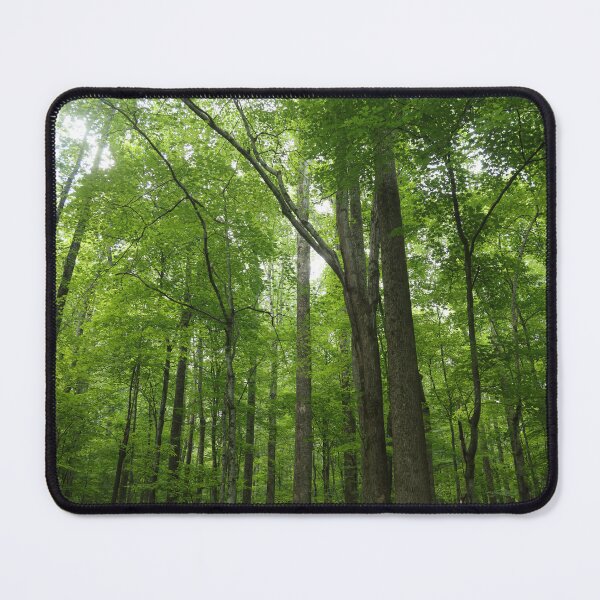 Item preview, A walk through the woods designed and sold by garne4.