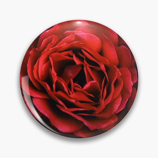 Item preview, Bright red rose on black background designed and sold by plumspixellove.