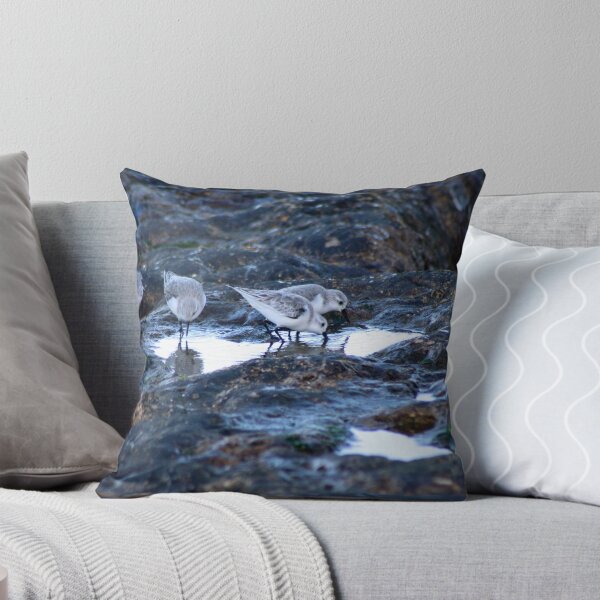 Item preview, Sandpipers Birds feeding Rock Tide Pool Seashore designed and sold by Anna Lemos.