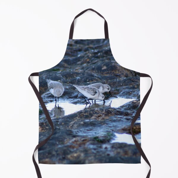 Item preview, Sandpipers Birds feeding Rock Tide Pool Seashore designed and sold by Anna Lemos.