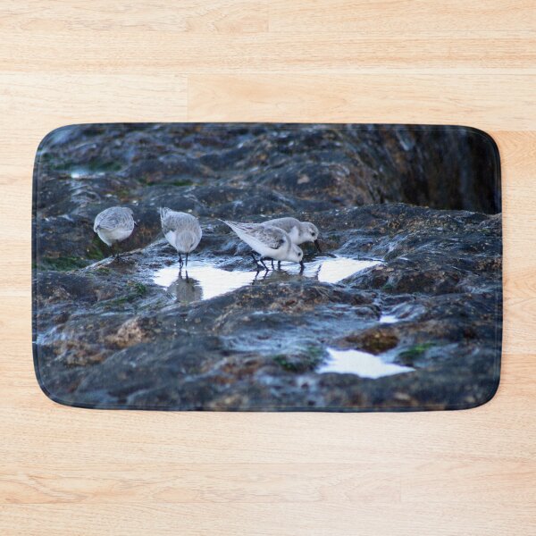 Item preview, Sandpipers Birds feeding Rock Tide Pool Seashore designed and sold by Anna Lemos.