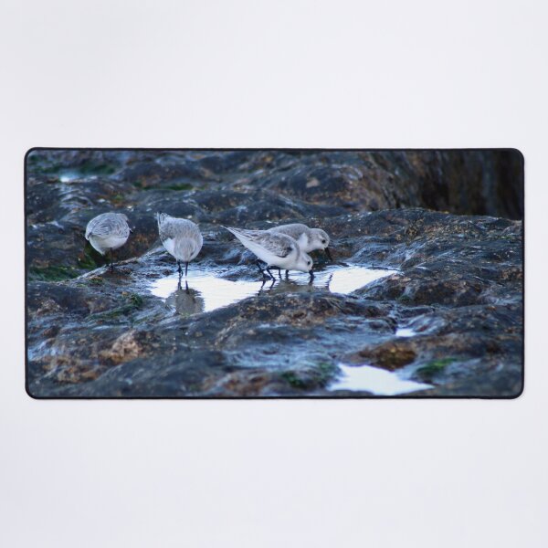 Item preview, Sandpipers Birds feeding Rock Tide Pool Seashore designed and sold by Anna Lemos.