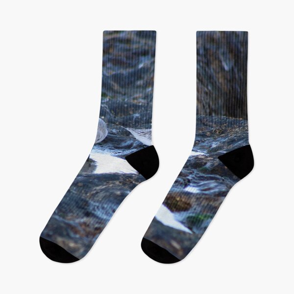 Item preview, Sandpipers Birds feeding Rock Tide Pool Seashore designed and sold by Anna Lemos.