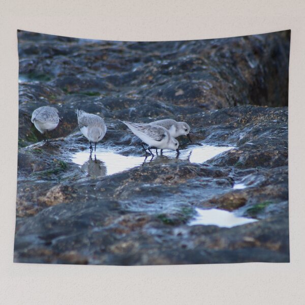 Item preview, Sandpipers Birds feeding Rock Tide Pool Seashore designed and sold by Anna Lemos.
