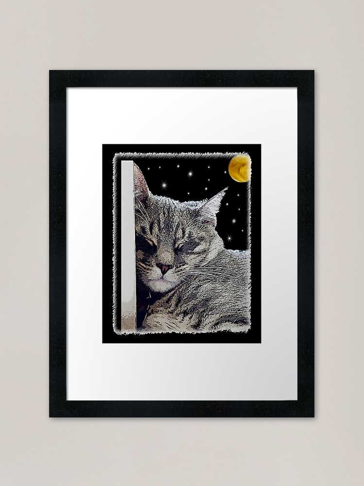 Alternate view of Catnap - Grey Tabby Cat Framed Art Print