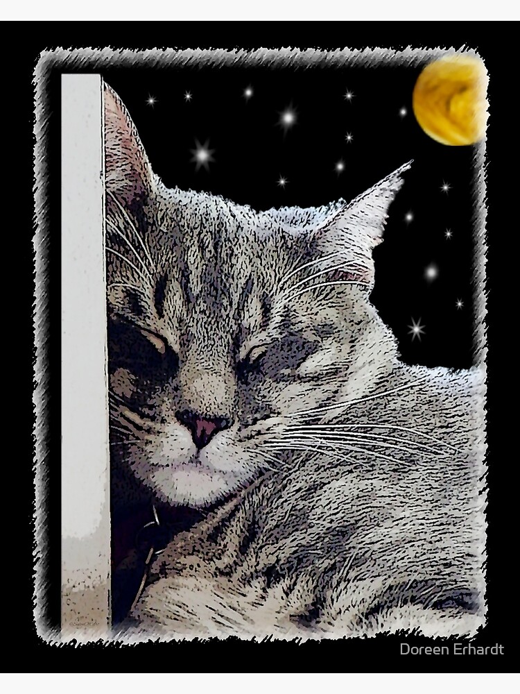 Catnap - Grey Tabby Cat by SalonOfArt