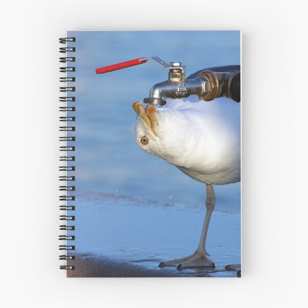 Item preview, Seagull Bird Drinking from a tap designed and sold by Anna Lemos.