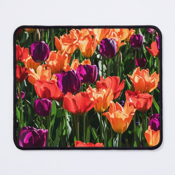 Item preview, Bright orange and purple tulips designed and sold by plumspixellove.