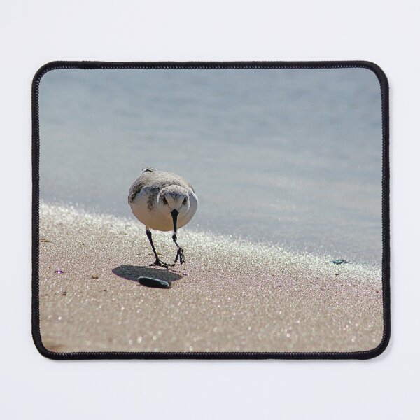 Item preview, Sandpiper bird on the seashore designed and sold by Anna Lemos.