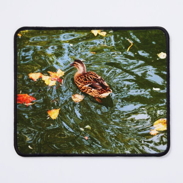 Item preview, Duck swimming in autumn among fallen leaves designed and sold by Anna Lemos.