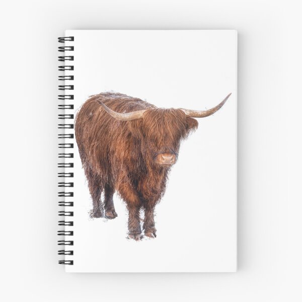 Item preview, Highland Cow designed and sold by derekbeattie.