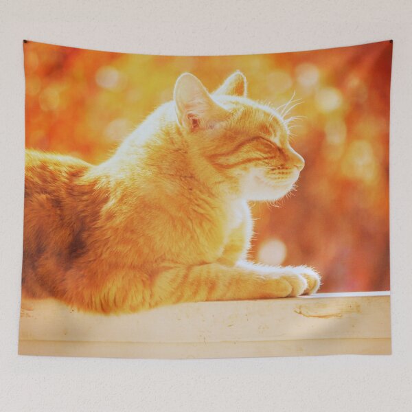 Item preview, Happy Sunning Cat designed and sold by SquishStitches.