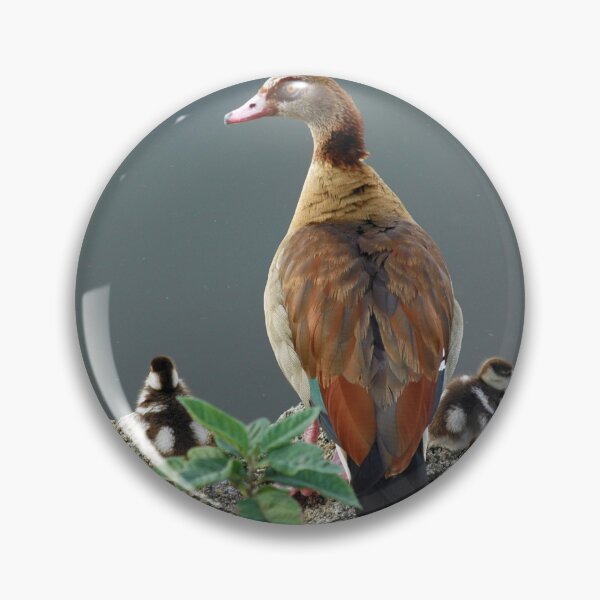 Item preview, Egyptian Goose and Goslings designed and sold by Anna Lemos.