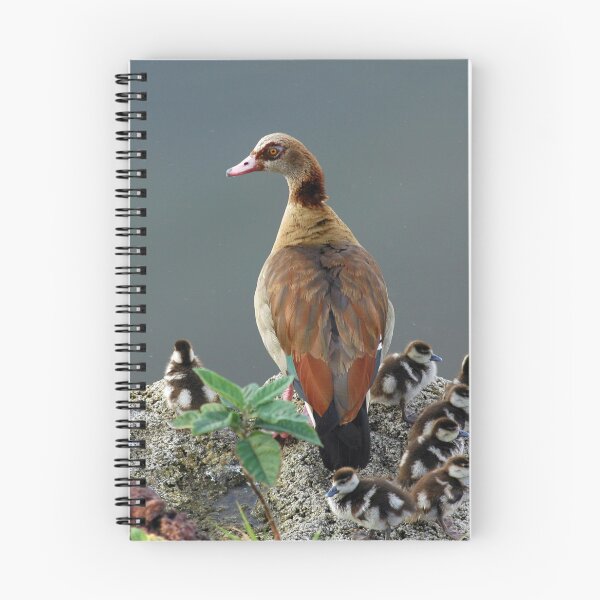 Item preview, Egyptian Goose and Goslings designed and sold by Anna Lemos.