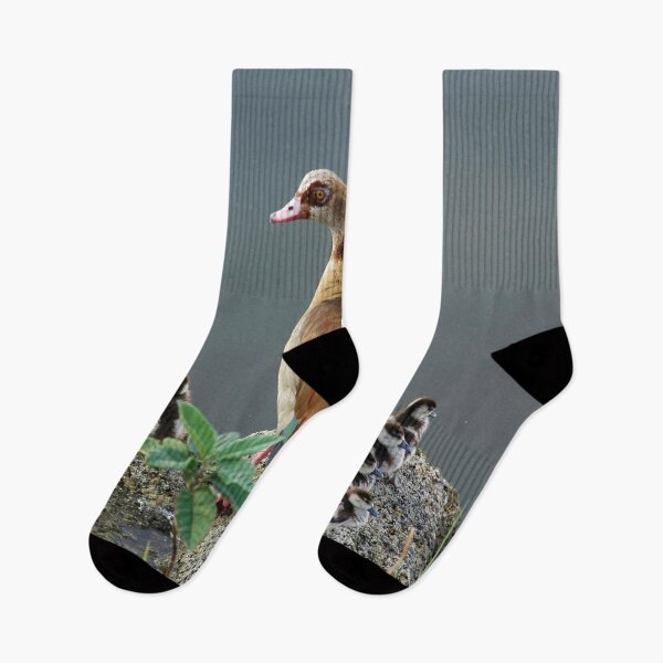 Item preview, Egyptian Goose and Goslings designed and sold by Anna Lemos.