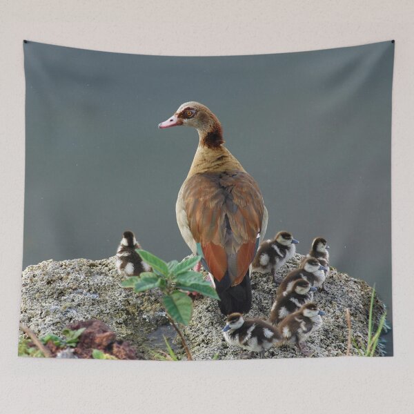 Item preview, Egyptian Goose and Goslings designed and sold by Anna Lemos.