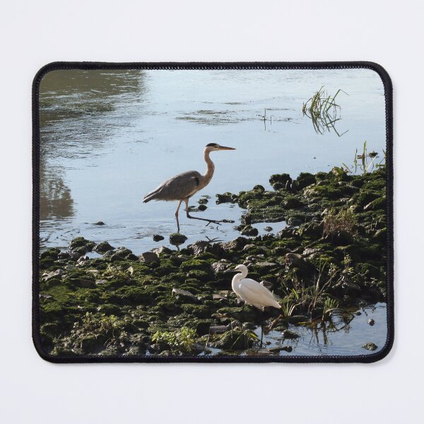 Item preview, Herons on the river bank designed and sold by Anna Lemos.