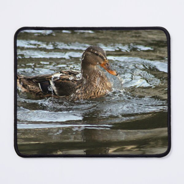 Item preview, Mallard Duck Swimming Bathing Pond designed and sold by Anna Lemos.