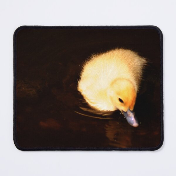 Item preview, Yellow Baby Duckling Swimming Dark Water Portrait designed and sold by Anna Lemos.