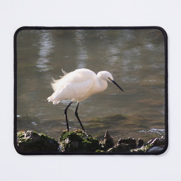 Item preview, White heron bird by the river  designed and sold by Anna Lemos.