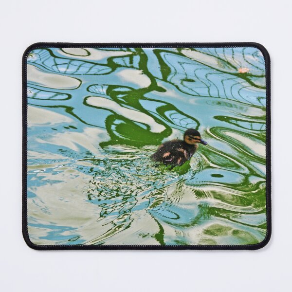 Item preview, Mallard duckling swimming in a pond Water Reflections designed and sold by Anna Lemos.