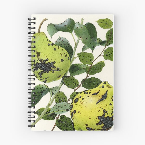 Item preview, Fleck of Pear and Quince designed and sold by BiosecurityColl.