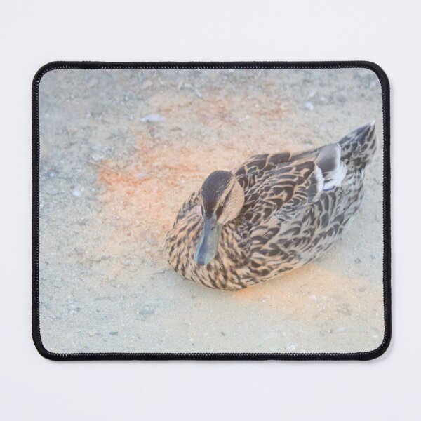 Item preview, Mallard Duck resting designed and sold by Anna Lemos.