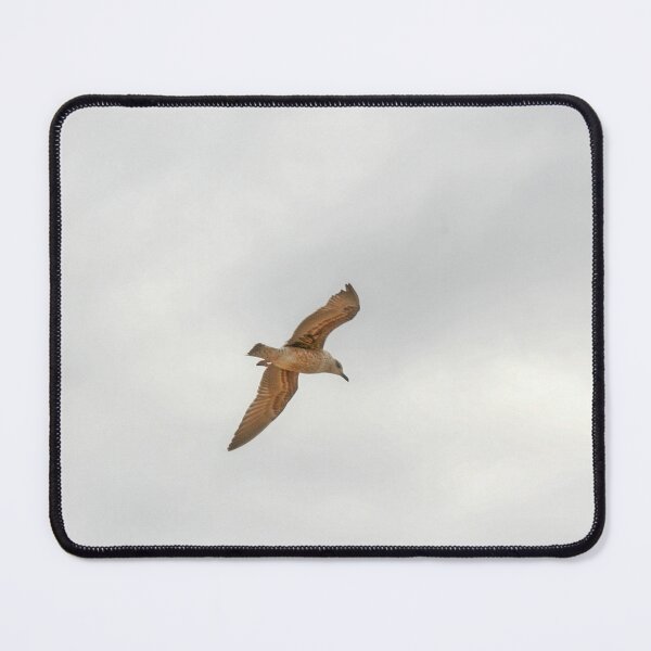 Item preview, Seagull bird flying close-up designed and sold by Anna Lemos.