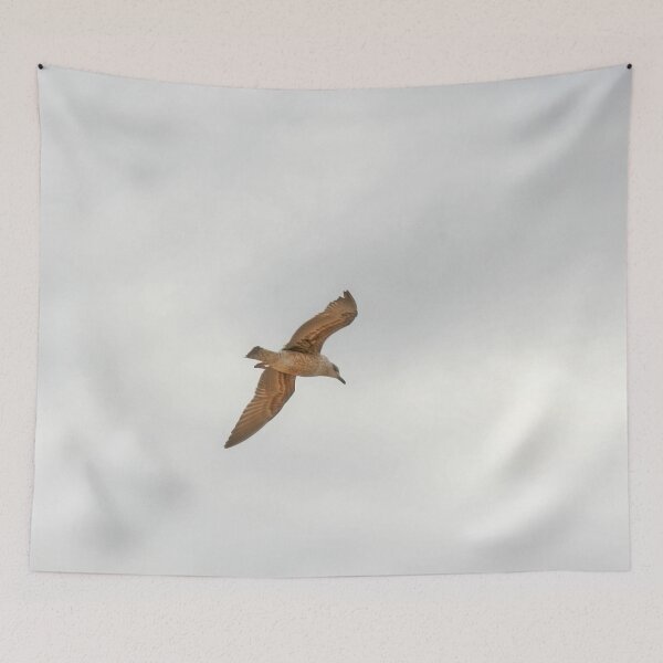 Item preview, Seagull bird flying close-up designed and sold by Anna Lemos.