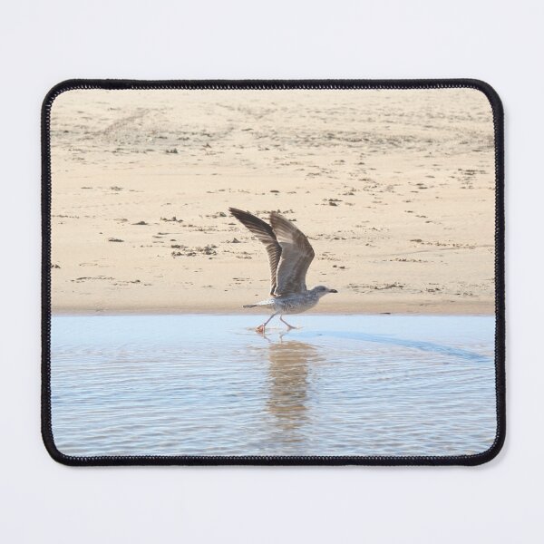 Item preview, Seagull bird taking off designed and sold by Anna Lemos.