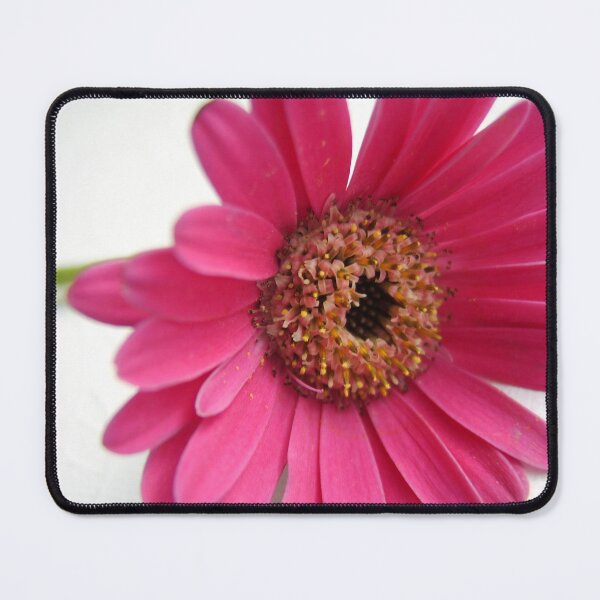 Item preview, Pretty Pink Gebera Flower designed and sold by TavStone.