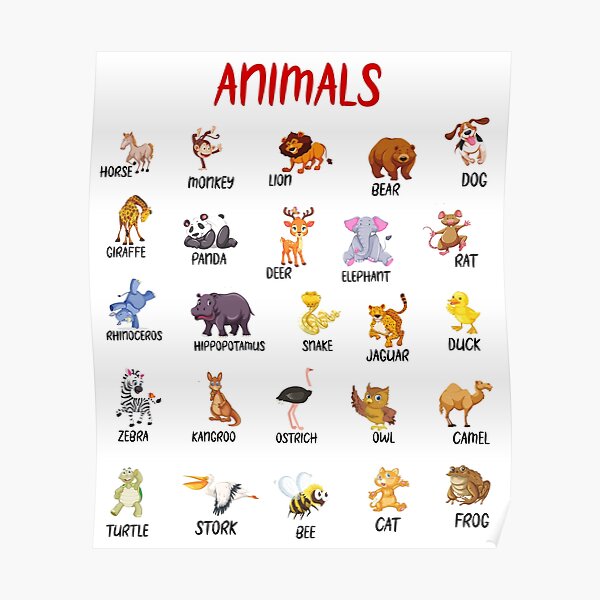 "learn animal names,animal with name,animal,Animal Education Learning