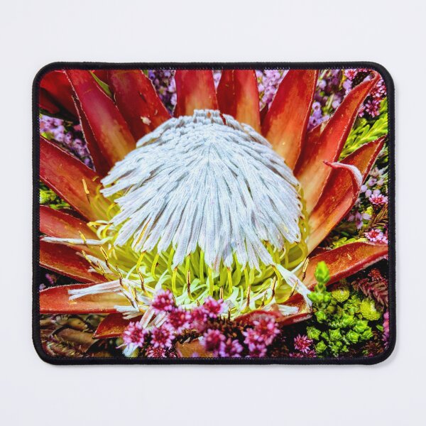 Item preview, South African Protea Bouquet designed and sold by TavStone.