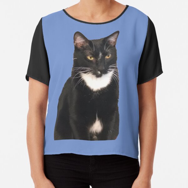 Vincent on Blue Chiffon Top
