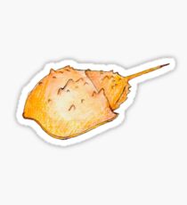 Horseshoe Crab Sticker