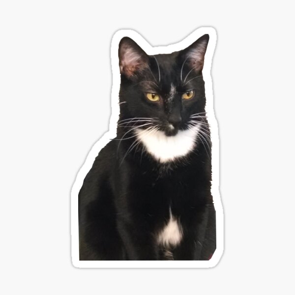Vincent on Blue Sticker