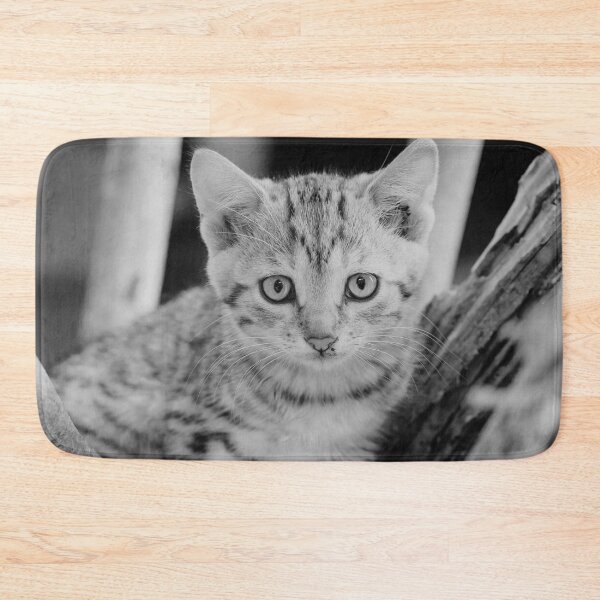 Item preview, Kitten in the Branches Black and White designed and sold by SquishStitches.