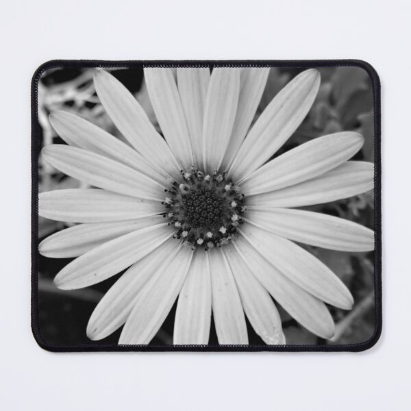 Item preview, Monochrome single Daisy flower designed and sold by TavStone.