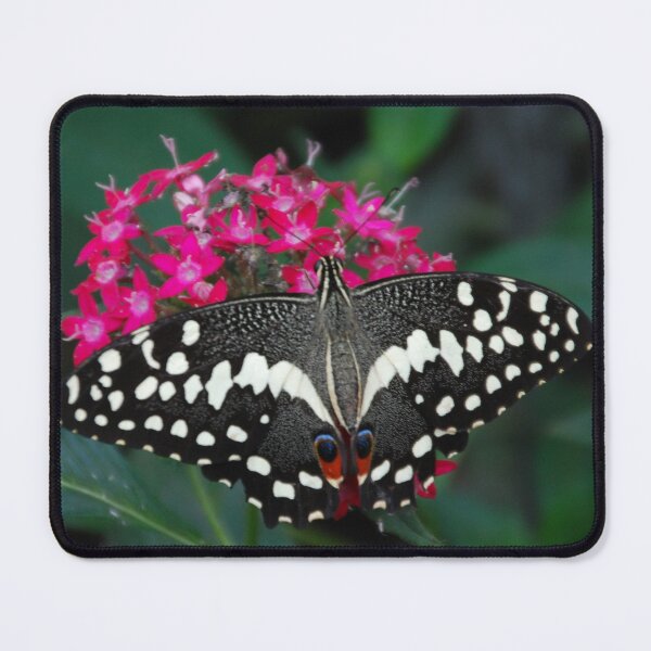 Item preview, Gorgeous Butterfly on Pink Flowers designed and sold by TavStone.