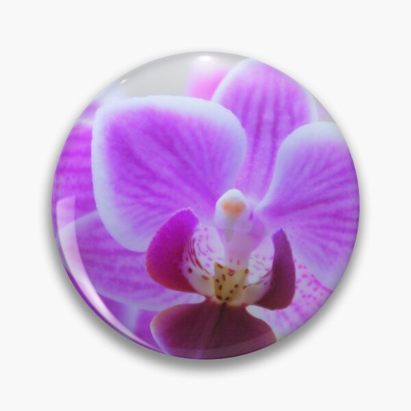 Item preview, Purple and white Orchid designed and sold by TavStone.