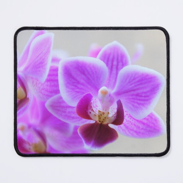 Item preview, Purple and white Orchid designed and sold by TavStone.
