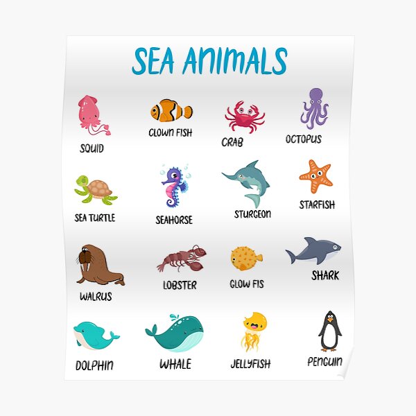 " learn sea animals names,sea animals with name,ocean animals name