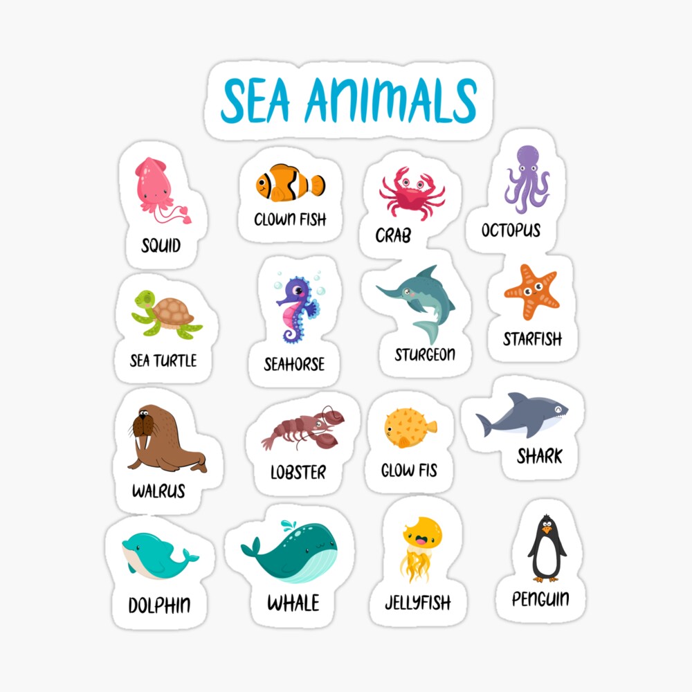 learn sea animals names,sea animals with name,ocean animals name, ocean sea alphabet,sea animals Education Learning,back to school,Montessori,Preschool,Classroom,Learning Home School learn sea animals names,sea animals with name,ocean animals name, ocean sea alphabet,sea animals Education Learning,back to school,Montessori,Preschool,Classroom,Learning Home School