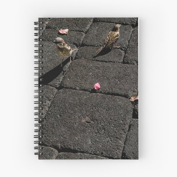 Item preview, Agree to Disagree designed and sold by Steve Walser.