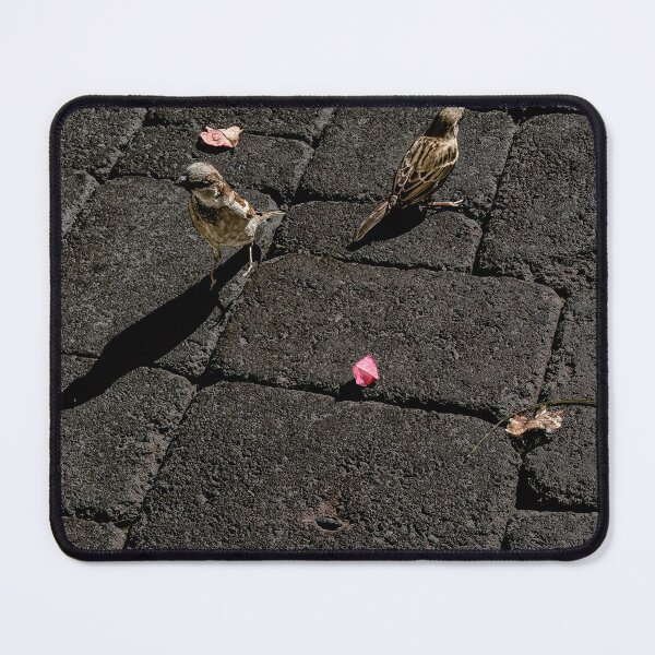 Item preview, Agree to Disagree designed and sold by Steve Walser.