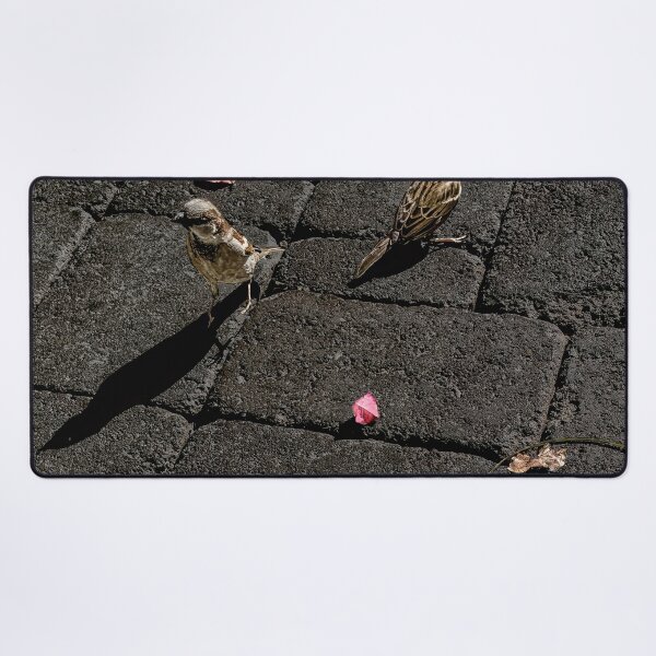 Item preview, Agree to Disagree designed and sold by Steve Walser.
