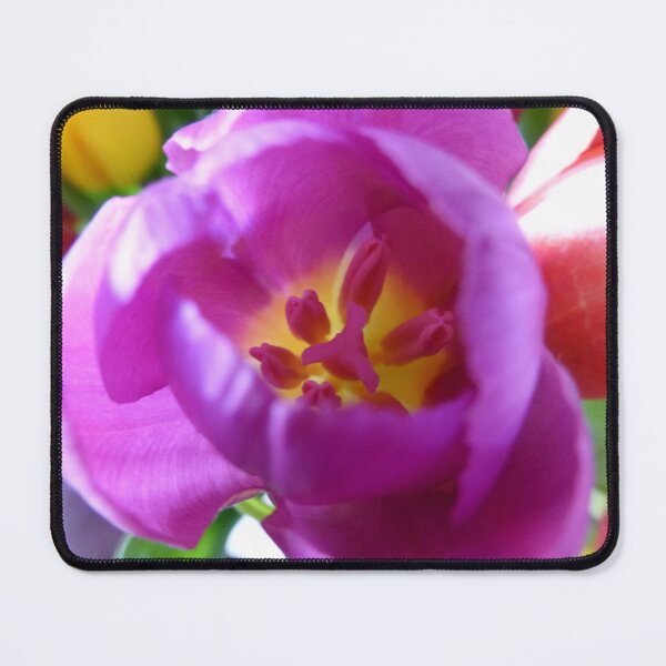 Item preview, Backlit Purple Tulip designed and sold by TavStone.